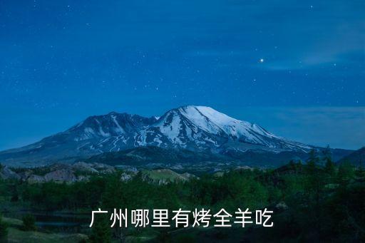 廣州清湯羊店，廣州哪里有DGVI專賣店
