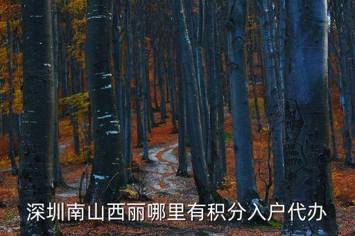 深圳南山西麗哪里有積分入戶代辦