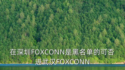 在深圳FOXCONN是黑名單的可否進(jìn)武漢FOXCONN