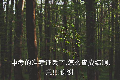 中考準(zhǔn)考證號查詢,中考準(zhǔn)考證丟了怎么查成績?