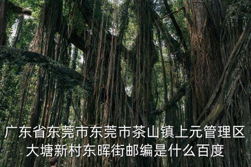 廣東省東莞市東莞市茶山鎮上元管理區大塘新村東暉街郵編是什么百度