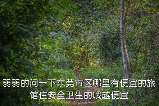 弱弱的問一下東莞市區哪里有便宜的旅館住安全衛生的哦越便宜