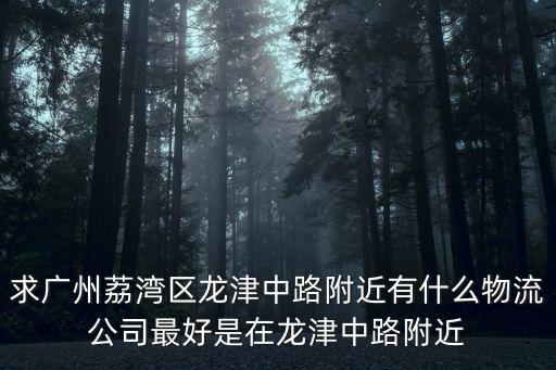 求廣州荔灣區龍津中路附近有什么物流公司最好是在龍津中路附近