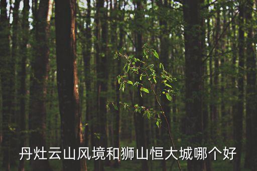 廣州獅山恒大，獅山恒大御景前身是什么