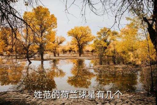 范布隆克霍斯特,獨(dú)在異鄉(xiāng)為異客范布隆克霍斯特