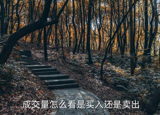  成交量怎么看是買入還是賣出