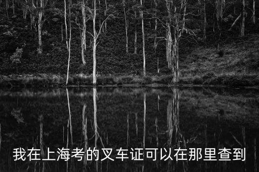 我在上海考的叉車證可以在那里查到