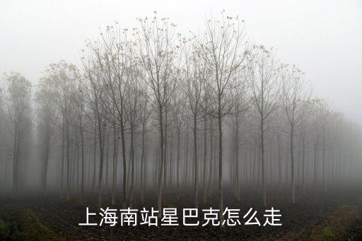 上海市楊浦區星巴克，上海南站星巴克怎么走