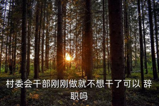村干部辭職報告,村干部辭職報告怎么寫?需要流程!