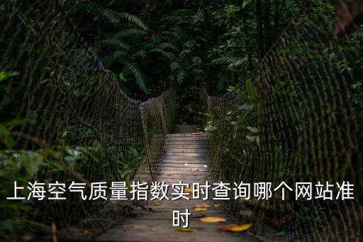 上海空氣質量指數實時查詢哪個網站準時