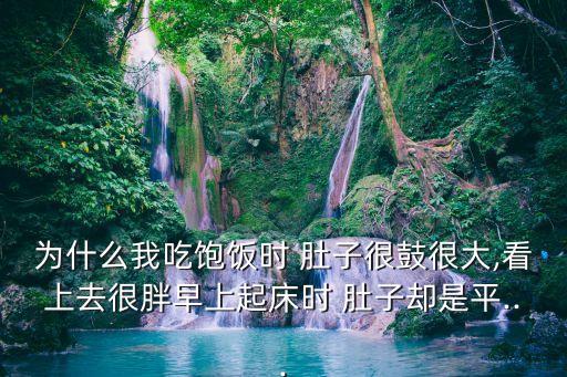 為什么我吃飽飯時 肚子很鼓很大,看上去很胖早上起床時 肚子卻是平...