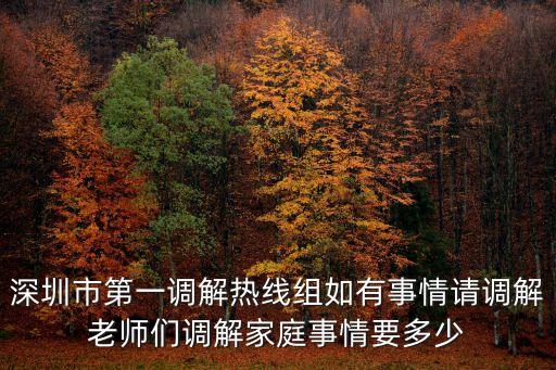 深圳市第一調(diào)解熱線組如有事情請調(diào)解老師們調(diào)解家庭事情要多少