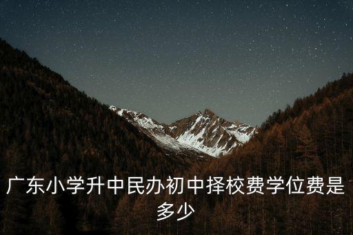 廣東小學(xué)升中民辦初中擇校費(fèi)學(xué)位費(fèi)是多少