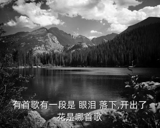 眼淚落下,韓劇《落差》中文歌詞:不要再讓我哭泣