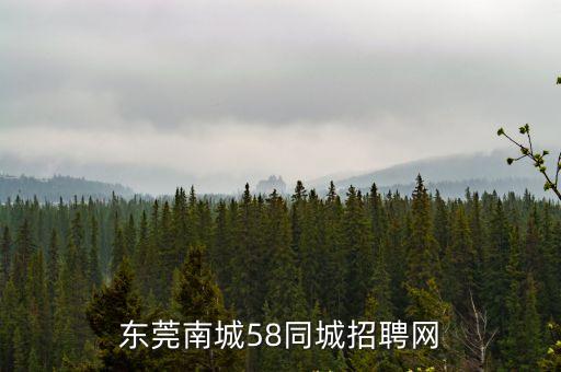 東莞南城58同城招聘網