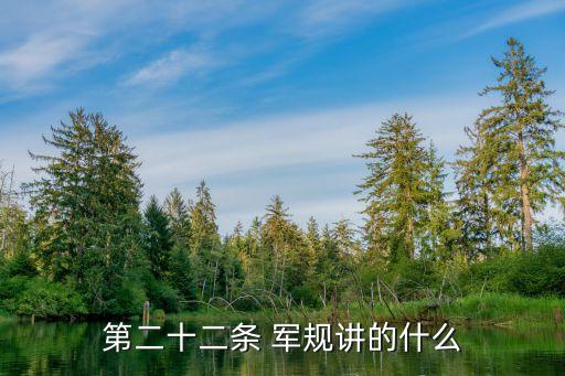 22條軍規(guī),第二十二條軍規(guī):飛完規(guī)定次數(shù)就可回國