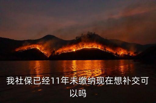 我社保已經11年未繳納現在想補交可以嗎