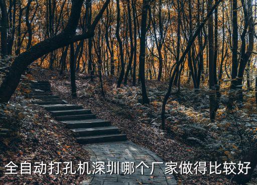 全自動(dòng)打孔機(jī)深圳哪個(gè)廠家做得比較好