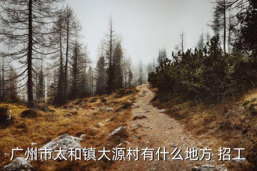 廣州市太和鎮大源村有什么地方 招工