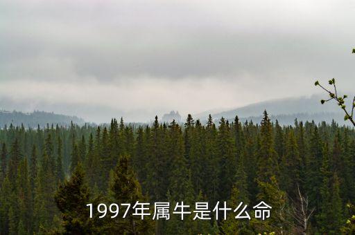 1997年什么命,你的牛年是什么命?