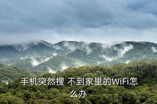  手機突然搜 不到家里的WiFi怎么辦