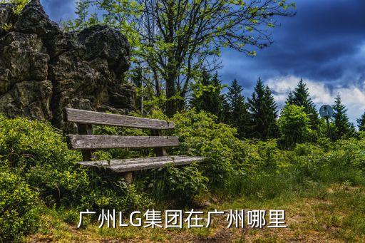 廣州LG招商引資，廣州LG集團在廣州哪里