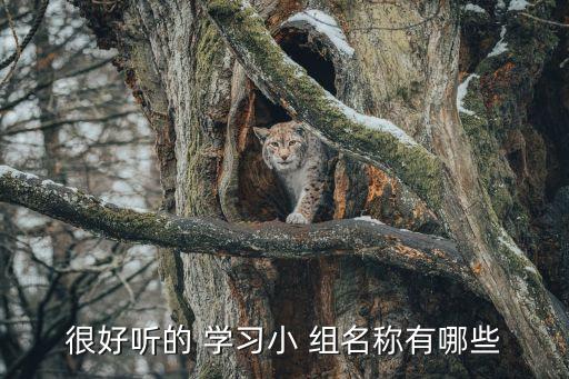 學習小組組名,學習小組名稱大全?