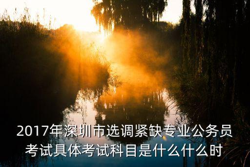 2017年深圳市選調緊缺專業公務員考試具體考試科目是什么什么時