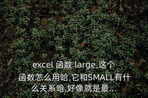 large函數(shù),數(shù)據(jù)區(qū)篩出不重要信息