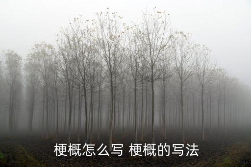 梗概是什么意思,故事梗概是什么意思?