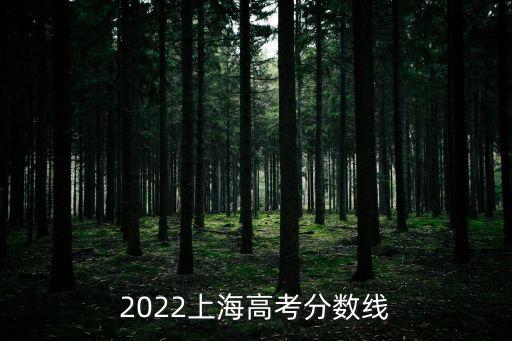 上海市高考綜評(píng)分?jǐn)?shù)線，上海高中起分線