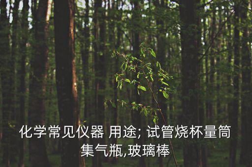 化學常見儀器 用途; 試管燒杯量筒集氣瓶,玻璃棒