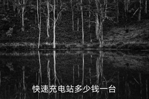 快速充電站多少錢一臺