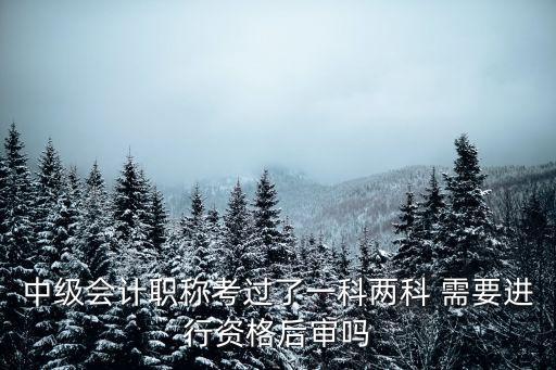 中級會計職稱考過了一科兩科 需要進行資格后審嗎