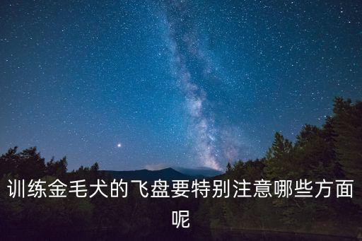 接飛盤,怎么訓練狗狗愛上飛盤?