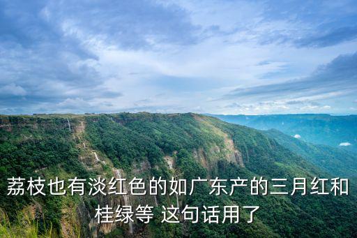 荔枝也有淡紅色的如廣東產的三月紅和桂綠等 這句話用了