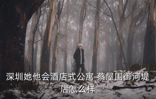 深圳她他會酒店式公寓 蔡屋圍御河堤店怎么樣