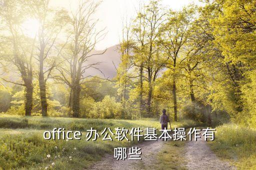  office 辦公軟件基本操作有哪些