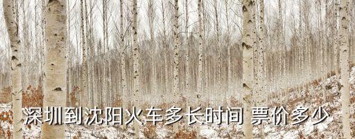 深圳到沈陽火車多長時間 票價多少