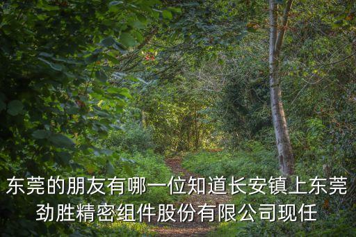東莞的朋友有哪一位知道長安鎮上東莞勁勝精密組件股份有限公司現任