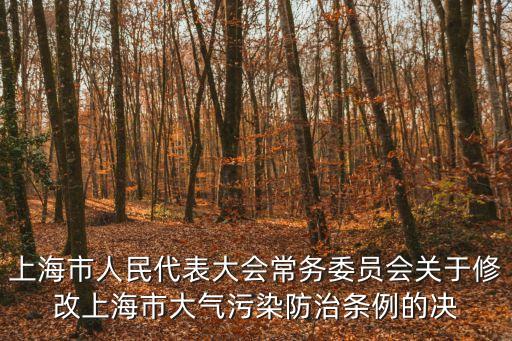 上海市人民代表大會常務委員會關于修改上海市大氣污染防治條例的決