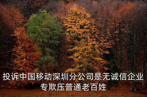 深圳移動徐革，深圳移動集團網咨詢