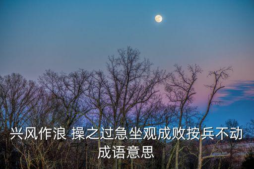 操之過急的意思,不宜操之過急的意思
