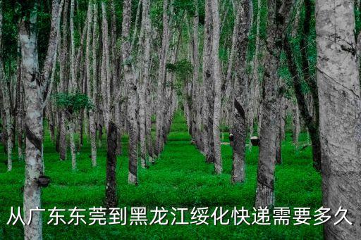 東莞到綏化大件物流，東莞南城這邊有哪家物流公司能發到扶綏的
