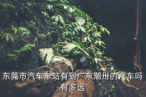 東莞市汽車車站有到廣東潮卅的汽車嗎有多遠