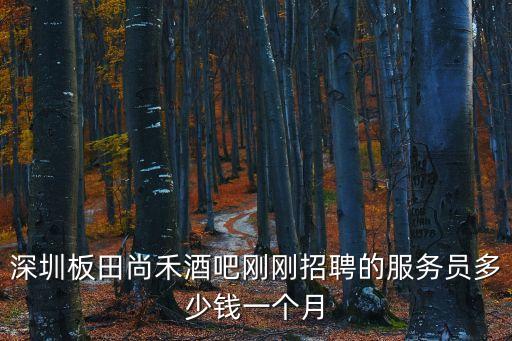 深圳板田尚禾酒吧剛剛招聘的服務員多少錢一個月
