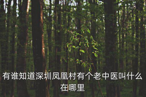 有誰知道深圳鳳凰村有個老中醫叫什么在哪里