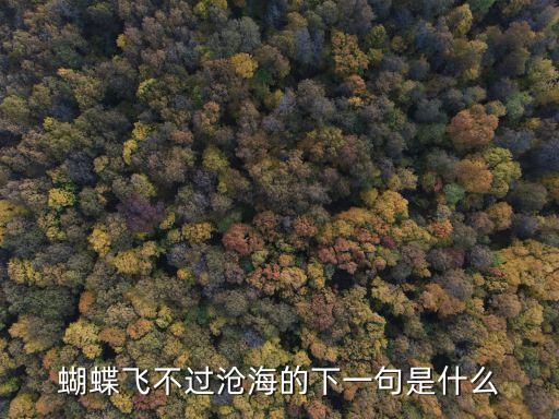 蝴蝶飛不過滄海的下一句是什么