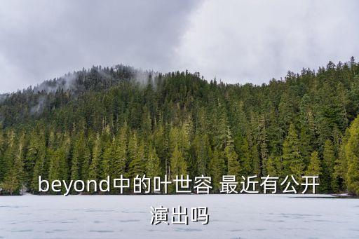 beyond中的葉世容 最近有公開演出嗎