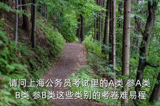 上海市考申論b卷，請問上海公務員考試里的A類 參A類 B類 參B類這些類別的考卷難易程